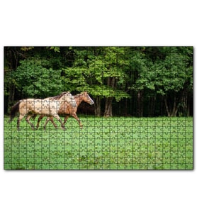 Cakapuzzle Orman Yeşil Çayırlar ve Bir Çift At Puzzle Yapboz MDF (Ahşap) (120 Parça)
