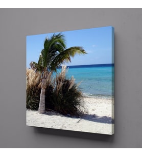 PALMİYE AĞACI KUMSALDA KANVAS TABLO 60x60cm (Karışık)