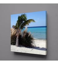 PALMİYE AĞACI KUMSALDA KANVAS TABLO 60x60cm (Karışık)