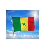 Senegal Devleti Bayrağı Premium Raşel Kumaş 70x105 cm