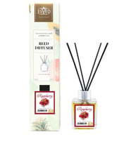 Ahududu Kokusu 100 Ml Çubuklu Oda Kokusu