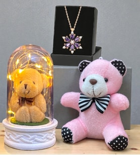 Gerçek Ametist Taşlı Lotus Kolye, Peluş Anahtarlık ve Led Işıklı Fanus Premium Hediye Seti (Model 6)