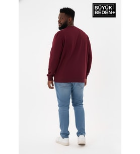Erkek Büyük Beden A Baskılı Bisiklet Yaka ince Sweatshirt SPR26BSW956-12