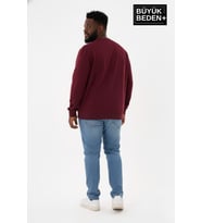 Erkek Büyük Beden A Baskılı Bisiklet Yaka ince Sweatshirt SPR26BSW956-12 (Burgundy)