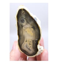 Doğal Kahverengi Dendritik Opal Merlinit Dilimi - Topraksı Kahve & Krem Cila Taşı, 87g