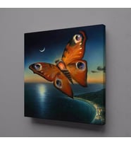 KELEBEK VE DENİZ KANVAS TABLO 50x50cm (Karışık)