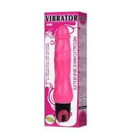 RADICALLY CHANGE VIBRATOR
