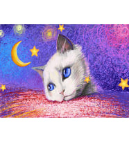 Nova 1000 Parça Puzzle - Yıldızların Altında - Beyaz Kedi