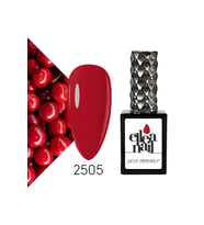 Profesyonel Kalıcı Oje 15 ml 2505