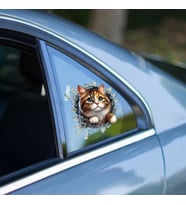 Fulcar Stray Araç Stickerı