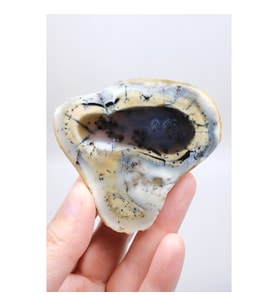 Colorful Merlinite Dendritic Opal Tekli Kar Beyazı, Hardal Sarısı ve Derin Kömür