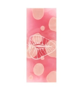 BRUNO VISCONTI 42-0009 HAPPY GRAPHIX FRESH RENKLİ SİLGİ - TEKLİ