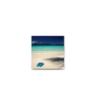 Sahildeki Terlik Tablo - 105738 - 35x35 Cm