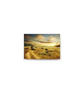 DBSanatevi Bozkır Arazi Tablo 50 X 70 Cm