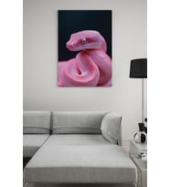 Pembe Yılan Kanvas Tablo (Çok Renkli)