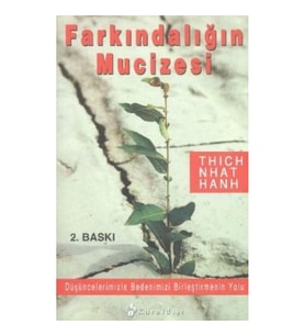 Farkındalığın Mucizesi