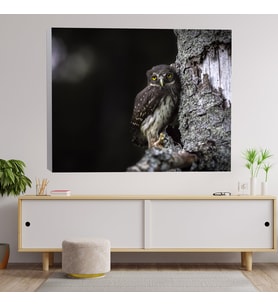 Baykuş Manzaralı Dekoratif Kanvas Tablo