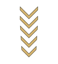Cg Gold Çamurluk Üst Sticker