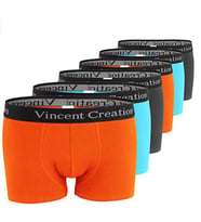 ALEXANDERGARDI 6'LI EKONOMİK PAKET ERKEK BOXER SETİ (VİNCENTCREATİON-02) (Çok Renkli)