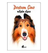 Dostum Çino - Nilgün Ilgaz
