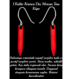 Sertifikalı Kırmızı Diş Mercan Taşı Doğal Taş Küpe (Çok Renkli)