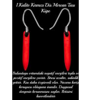 Sertifikalı Kırmızı Diş Mercan Taşı Doğal Taş Küpe (Çok Renkli)