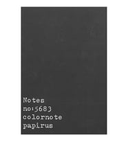 PAPİRÜS NOTES TERZİ DİKİŞ KARTON KAPAK 16X23 56YP. NOKTALI DEFTER