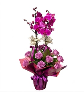 Buketli Saksı Mor Orkide ve Lila Güller