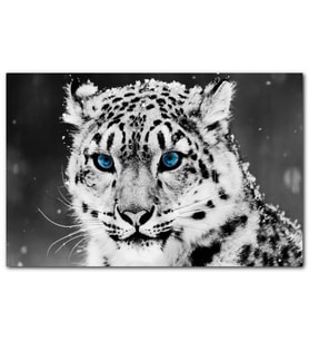 Cakatablo Kar Leoparı ve Mavi Gözleri MDF Tablo