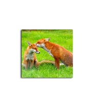 DBSanatevi Kızıl Tilki Tablo 40 X 60 Cm