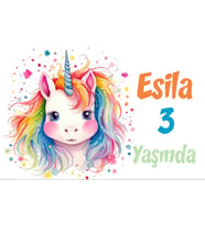 Gökkuşağı Saçlı Unicorn Temalı Doğum Günü Afişi -2 50x70 cm