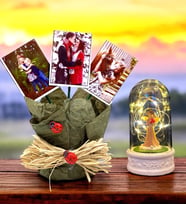 Size Özel 3 Fotoğraflı YEŞİL Saksı ve Led Işıklı Şans Melekli Fanus Seti