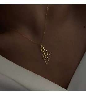 Kişiye Özel 925 Ayar Gümüş Tasarım Dikey İsim Kolye (Gold)