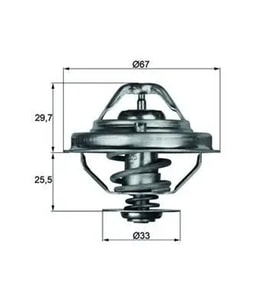 MAHLE TX3888D Termostat 11532246825