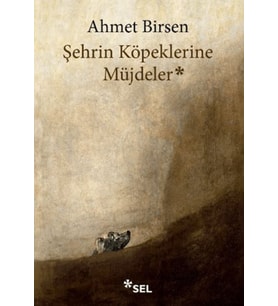 Şehrin Köpeklerine Müjdeler