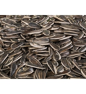 Siyah Tuzsuz Çekirdek (500 Gr)