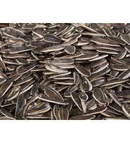 Siyah Tuzsuz Çekirdek (500 Gr)