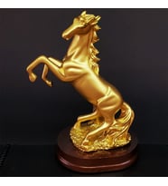 Şaha Kalkan Gold Renk At Biblosu