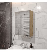 Rosepal Mobilya Luna Banyo Tuvalet Aynalı Lefkas Dolap