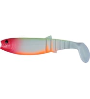 EFFE SASİ SALMON HG20 SİLİKON YEM 10 CM 5li Renk:5