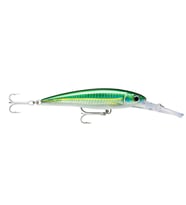 Rapala X-Rap Magnum DiveBait 160mm Trolling Sırtı Yem BSCD
