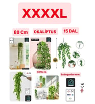 Yapay Okaliptus Sarkık 80 Cm ( SAKSISIZ )