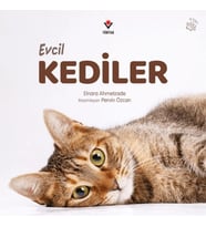 Evcil Kediler