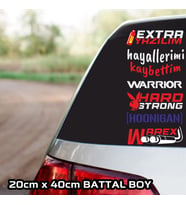 araba yazılım etiket sticker çıkartma - 2 adet - motosiklet araba otomobil kamyon kamyonet cam uyumlu