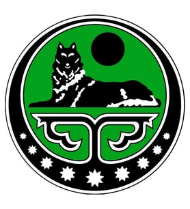 Çeçen Logo Araba Oto Sticker Etiket yapıştırması 17CM