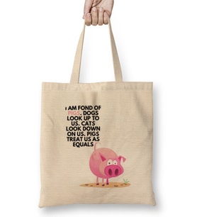 Pigs Dogs I am fond of pigs. Dogs look up to us.jpg