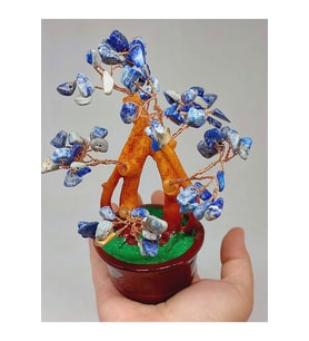 Lapis Taşı Saksılı Hayat Ağacı (51554)