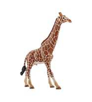Schleich Erkek Zürafa Hayvan Figürü  14749