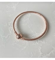 Moments Bangle Kadın Çelik Bileklik (Rose)