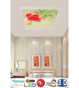 Yeni Led Aydınlatma Avize 60watt Led Aydınlatma 60cmx60cm Modern Tasarım Çerçeve